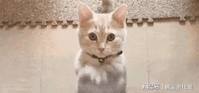 4岁无子女无老公生活依旧滋润pg电子首页刘晓庆坦言:7(图8) 4岁无子女无老公生活依旧滋润pg电子首页刘晓庆坦言:7(图8)